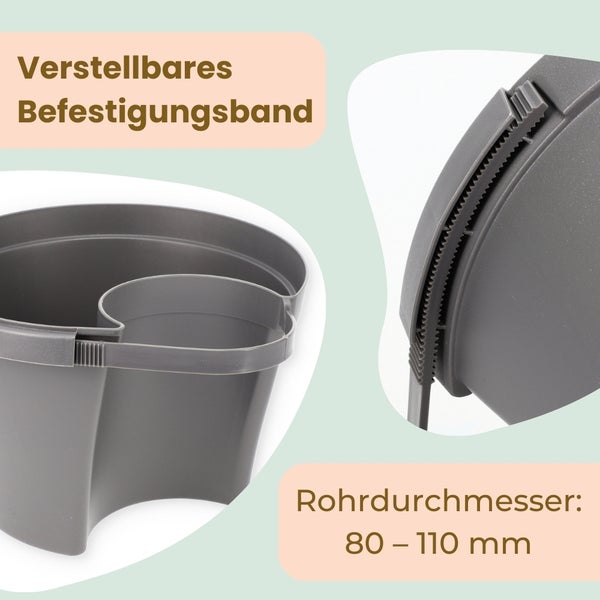 Eiben-Zweig mit Nadeln