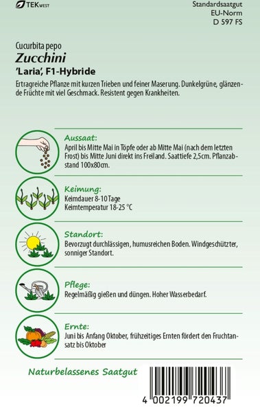 Zucchini Laria F1-Hybride Saatgutpackung mit Informationen zu Aussaat, Keimung, Standort, Pflege und Ernte