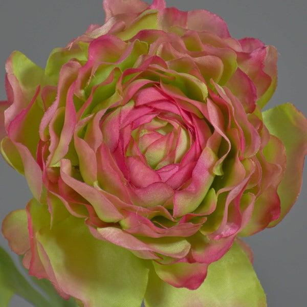 Künstliche Ranunkel mit pinkfarbenen und grünen Blütenblättern sowie einem langen Stiel mit Blättern.
