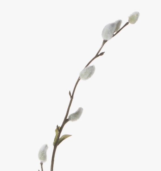 Künstlicher Weidenzweig mit flauschigen Palmkätzchen für die Frühlings- und Osterdekoration.