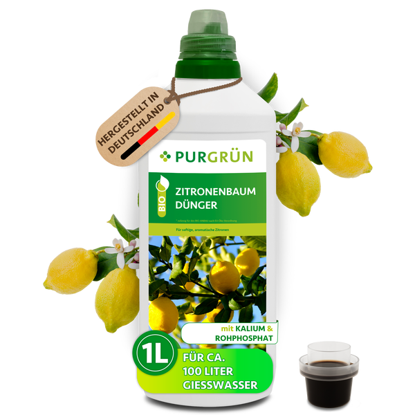 Purgrün Bio-Flüssigdünger für Zitronenbäume, 1 Liter Flasche für circa 100 Liter Gießwasser, hergestellt in Deutschland, mit Kalium und Rohphosphat.