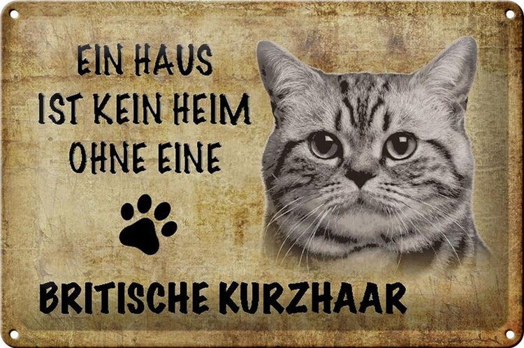 Blechschild Spruch 30x20cm Britische Kurzhaar ohne kein Heim