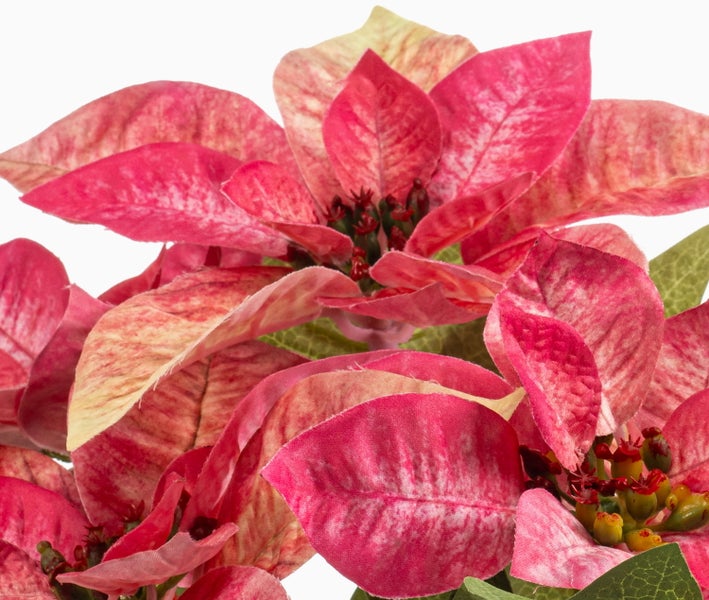 Künstliche Grashalme in verschiedenen Grün- und Brauntönen