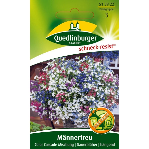 Männertreu Color Cascade Mischung Samen von Quedlinburger SAATGUT