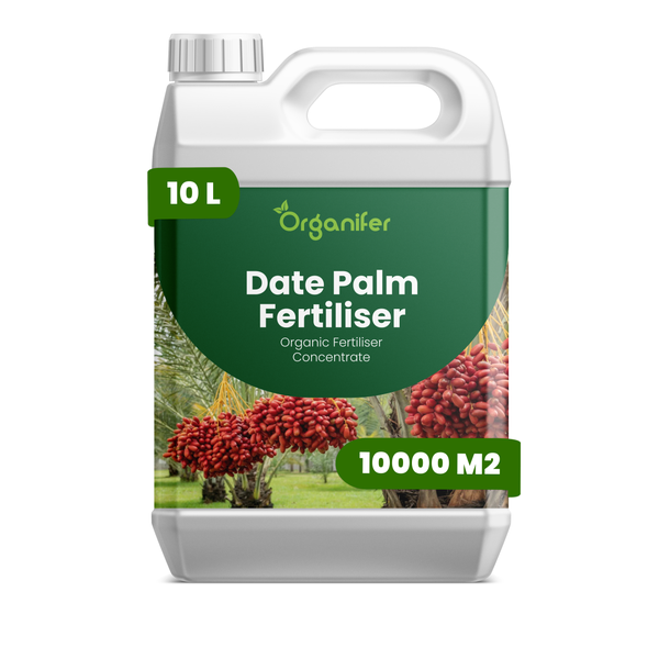 Organifer Logo, organisches Dattelpalmen-Dünger Konzentrat, 10 Liter Kanister für 10000 Quadratmeter.