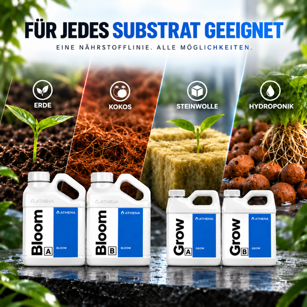 Athena Pflanzendünger Grow und Bloom in vier Kanistern für Erde, Kokos, Steinwolle und Hydroponik zur optimalen Nährstoffversorgung von Pflanzen.