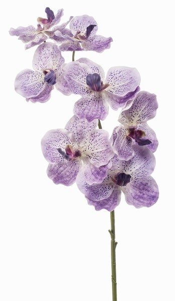 Künstliche Orchidee mit lila gepunkteten Blütenblättern, Kunstblume zur Dekoration.