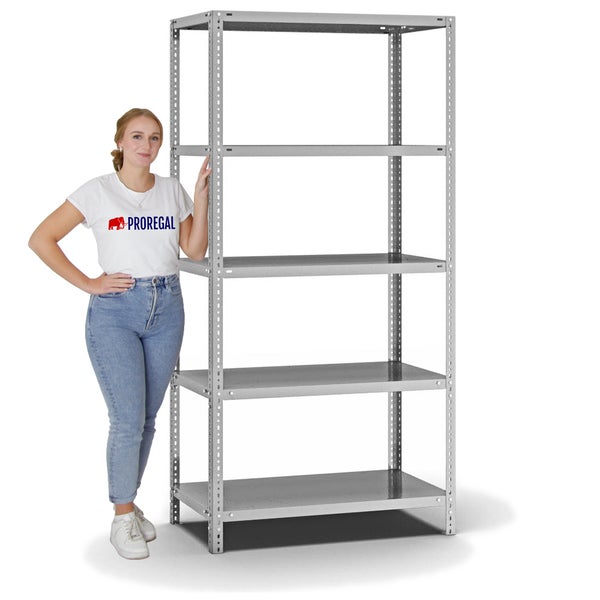 PROREGAL Fachbodenregal Schraubsystem Heavy-Duty Grundregal HxBxT 200 x 100 x 50 cm 5 Ebenen Fachlast 350 kg Beidseitig Nutzbar Verzinkt