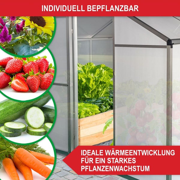Gewächshaus mit Beispielen für Blumen, Erdbeeren, Zucchini und Karotten für individuelles Bepflanzen und optimales Wachstum.