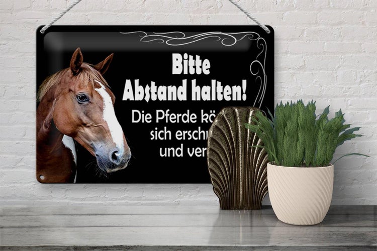 Blechschild Spruch 30x20cm bitte Abstand halten Pferde