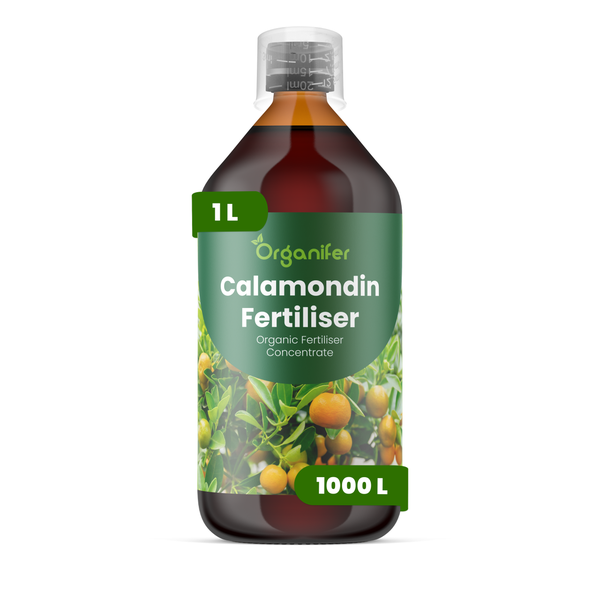 Organifer Calamondin Dünger, organisches Konzentrat, 1 Liter Flasche, ergibt bis zu 1000 Liter Düngerlösung.