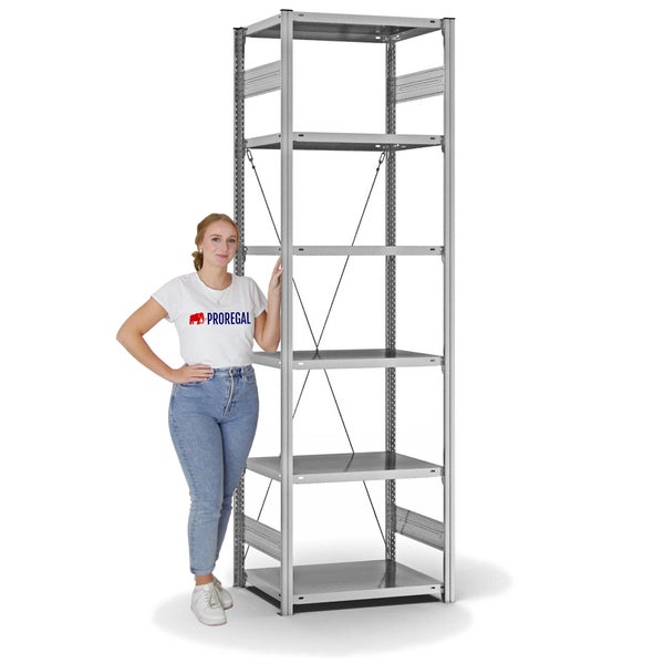 PROREGAL Fachbodenregal Stecksystem T-Profil Light-Duty Grundregal HxBxT 250 x 75 x 50 cm 6 Ebenen Fachlast 140 kg Einseitig Nutzbar Verzinkt