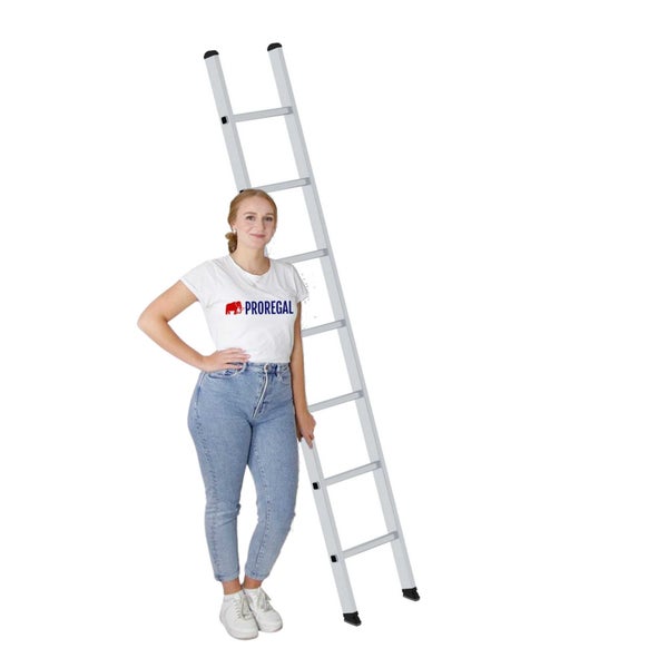 PROREGAL Sprossen-Anlegeleiter 350 mm Breit Ohne Traverse 7 Sprossen