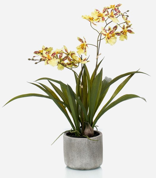 Kunstorchidee Oncidium COLUNGA im Keramiktopf, gelb-orange, 45cm - Orchideen künstlich im Topf/Orchidee Seidenblumen