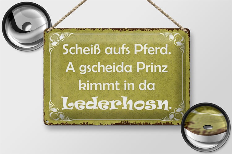 Blechschild Spruch 30x20cm scheiß aufs Pferd Prinz kommt