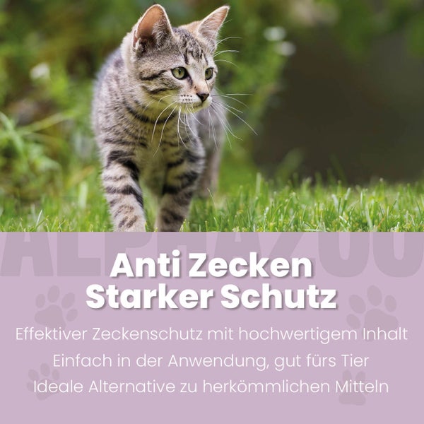 Eine getigerte Katze im Gras als Symbol für Zeckenschutzmittel.