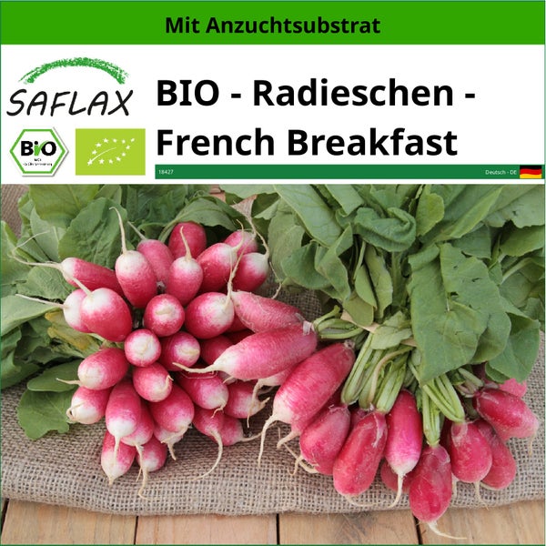 SAFLAX  - BIO - Radieschen - French Breakfast - Raphanus sativus - 150 Samen - Mit keimfreiem Anzuchtsubstrat