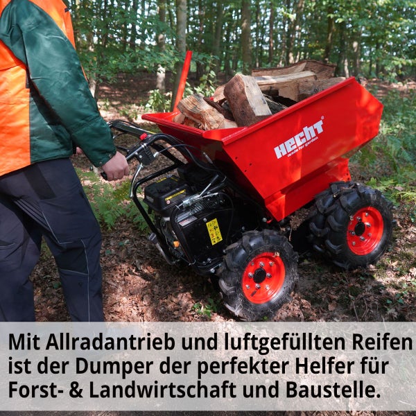 Person bedient einen Hecht Motordumper mit Allradantrieb und Luftreifen, beladen mit Holz in einem Wald.