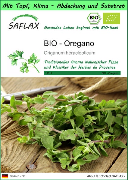 SAFLAX Garden to go - BIO - Oregano - Origanum heracleoticum - 1500 Samen - Mit Topf, Klima - Deckel und Anzuchtsubstrat