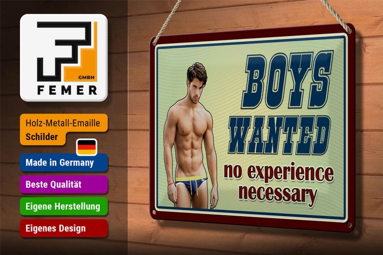 Blechschild Pinup 30x20cm Boys wanted no experience