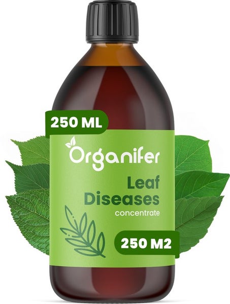 Leaf Diseases Blattkrankheiten-Konzentrat - 250 ml für 250 m2 - Organifer