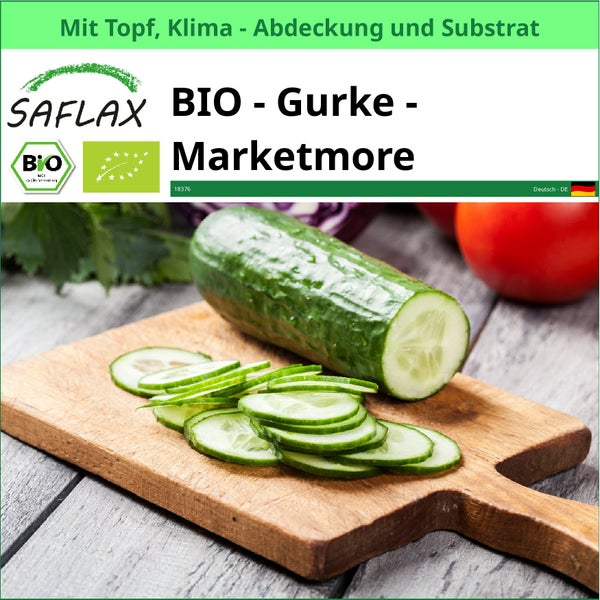 Saflax Bio Gurke Marketmore mit Topf, Klima Abdeckung und Substrat auf einem Schneidebrett