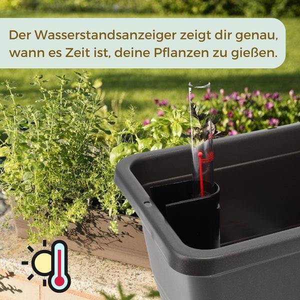 Blumenkasten mit Wasserstandsanzeige