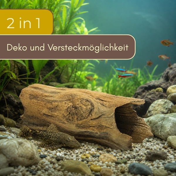 Aquarium-Dekoration in Form eines hohlen Baumstamms als Versteckmöglichkeit, platziert in einem bepflanzten Aquarium mit Fischen.