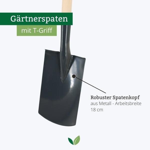 Gärtnerspaten mit robustem Metallkopf, Holzstiel und T-Griff, Arbeitsbreite 18 Zentimeter.