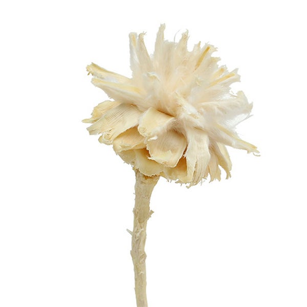 Dekorative Trockenblume auf Stiel