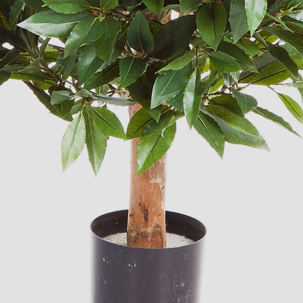 Künstlicher Lorbeerbaum mit Stamm im schwarzen Topf.