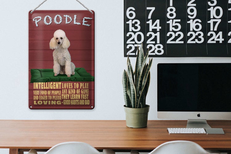 Blechschild Spruch 20x30cm Hund Poodle loves to play
