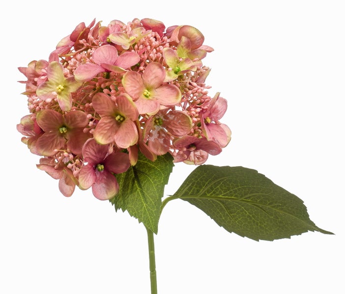 Künstliche Hortensie mit rosa Blütenköpfen und grünen Blättern an einem Stiel.