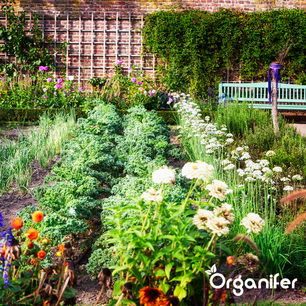 Ansicht eines Gartens mit Gemüsebeeten, Blumen und einer Bank