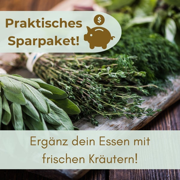 Verschiedene Kräuterbündel auf Holzbrett: Dill, Thymian und Salbei