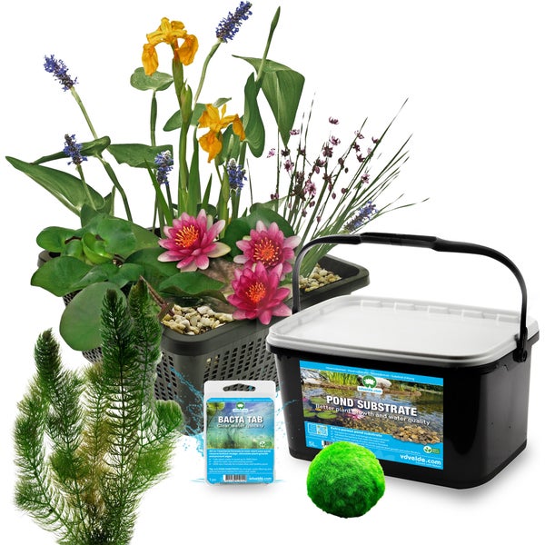 Teichpflanzen-Set mit Wasserpflanzen im Pflanzkorb, 5 Liter Teichsubstrat, BACTA TAB Tabletten, Moosball und Sauerstoffpflanze Hornblatt.
