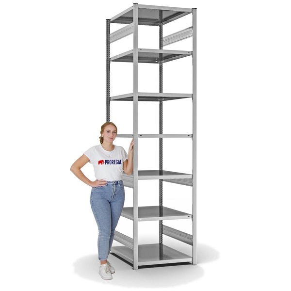 PROREGAL Fachbodenregal Stecksystem T-Profil Medium-Duty Grundregal HxBxT 300 x 75 x 80 cm 7 Ebenen Fachlast 230 kg Beidseitig Nutzbar Verzinkt
