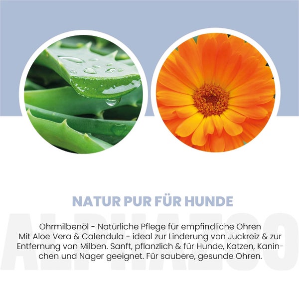 alphazoo Ohrmilbenöl für Hunde 100ml