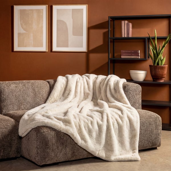 Wohnzimmer mit Sofa, Regal und Dekoration