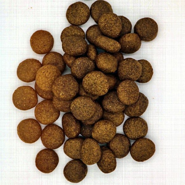 High Protein (1 x 14,5 kg) getreidefreies Trockenfutter | Sehr hoher Fleischanteil 70% | Muskelfleisch | Lachs, Rind und Geflügel mit Kartoffel & Lachsöl