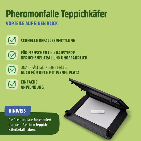 Teppichkäfer Pheromonfalle