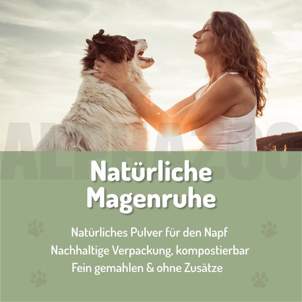 alphazoo Ulmenrinde Pulver 120g