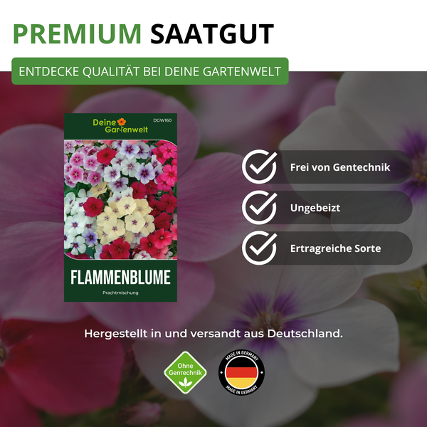 Saatgut für Flammenblume Prachtmischung von Deine Gartenwelt, gentechnikfrei, ungebeizt, ertragreich, hergestellt in Deutschland.