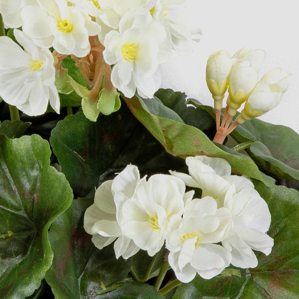 Künstliche Pflanze mit weißen Blüten und grünen Blättern in Nahaufnahme.