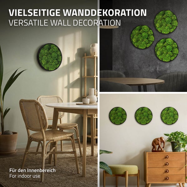 Runde Moosbilder als Wanddekoration in verschiedenen Innenräumen mit Holzmöbeln und Pflanzen für eine natürliche Dekoration.