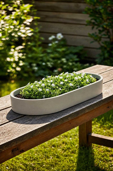Ovale Pflanzschale in Betonoptik mit kleinen grünen Pflanzen und weißen Blüten auf einer Holzbank im Garten.