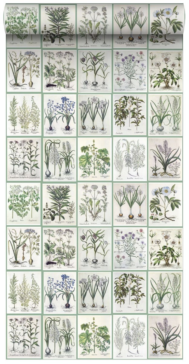 ESTAhome XXL-Vliestapete Seiten aus botanischen Büchern Grün - 50 x 900 cm - 159229