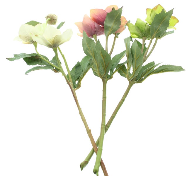 FRANK FLECHTWAREN | Kunstblume Christrose, 3er Set, KUNSTSTOFF, L: 40 cm