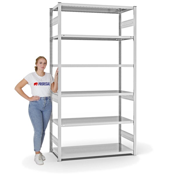 PROREGAL Fachbodenregal Stecksystem T-Profil Heavy-Duty Grundregal HxBxT 250 x 130 x 60 cm 6 Ebenen Fachlast 330 kg Beidseitig Nutzbar Lichtgrau