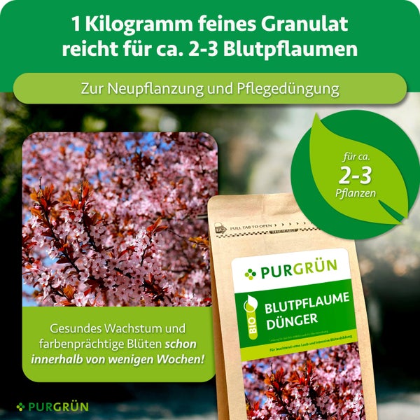 PURGRÜN Blutpflaume Dünger in wiederverschließbarem Beutel zur Pflege von ein bis drei Pflanzen für gesundes Wachstum und intensive Blütenbildung.